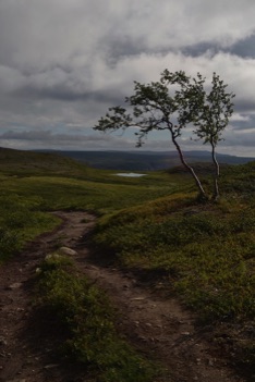 The winding trail, Alta Canyon, Norway